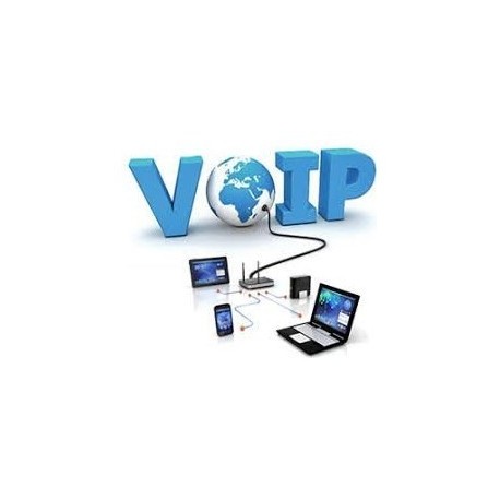 voip number